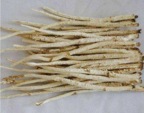 人参、西洋参、*党**参、太子参等这些中药!有何异同?一文说明白