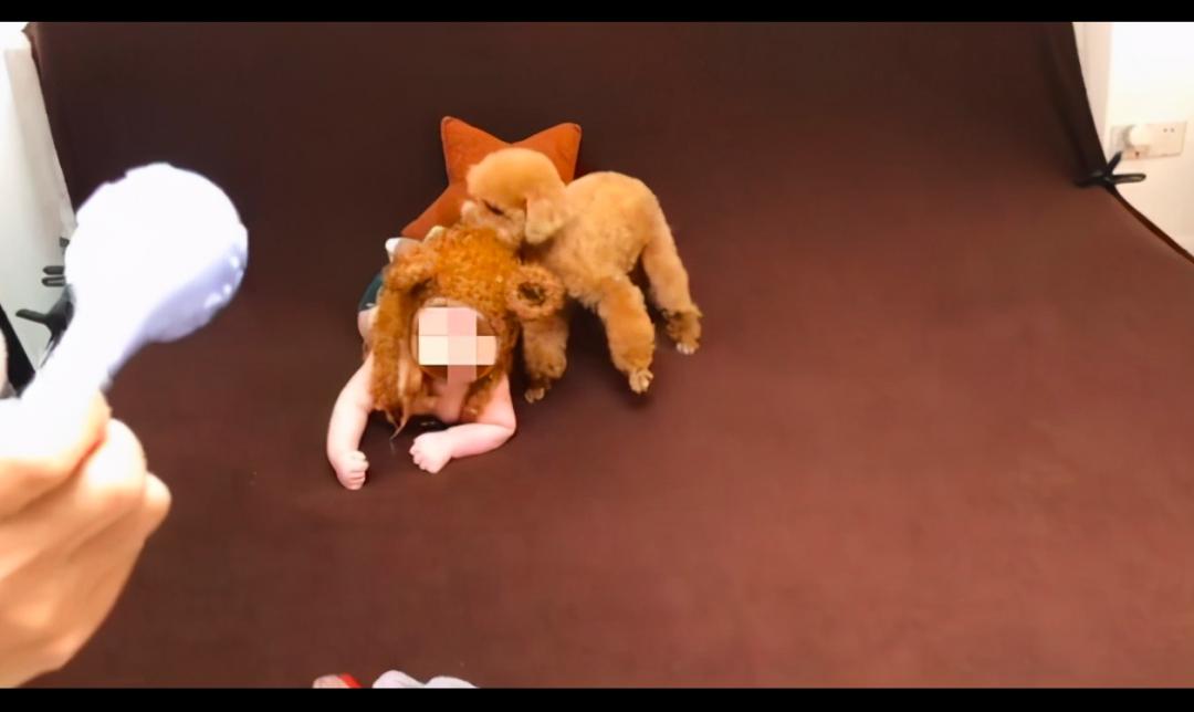 养了10年的狗狗咬主人,领养的泰迪咬人多次还要继续养吗