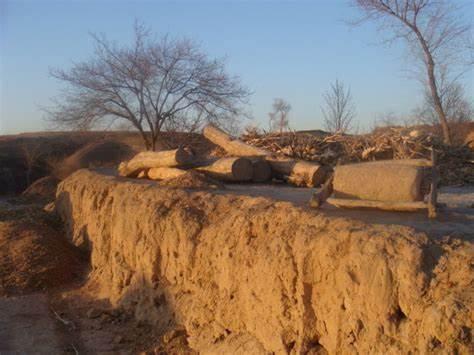 原创百年诗歌,百年孤寂的诗歌原创