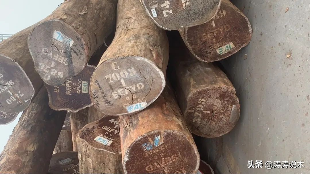 非洲名贵木材—大叶红檀最佳入手时机