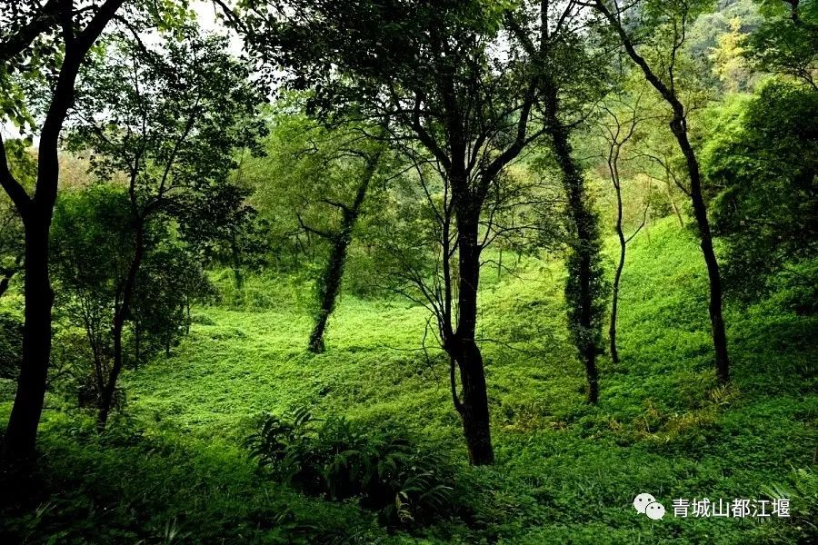在古村落拍照怎么摆姿势好看,在古堰拍照姿势