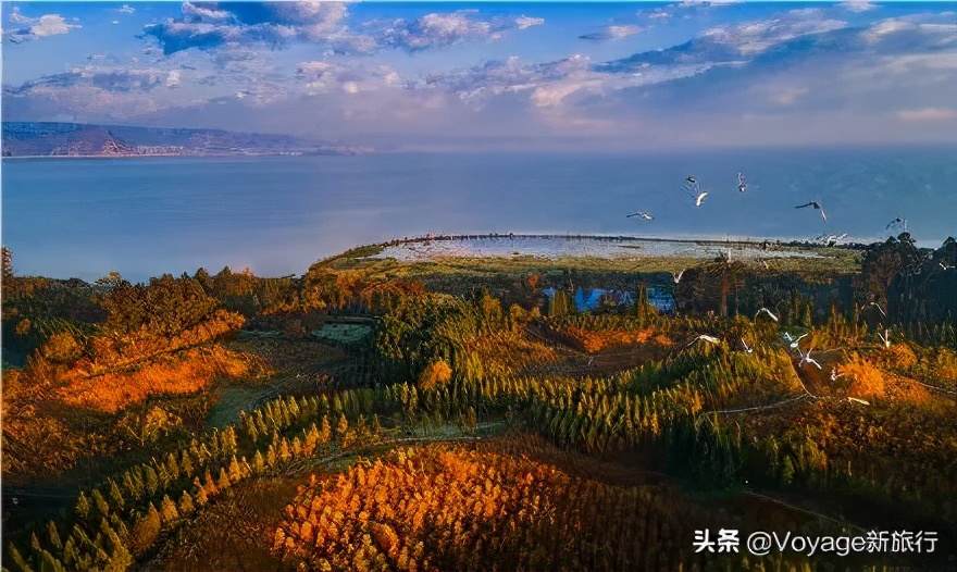 27个世界湿地日,世界湿地之都