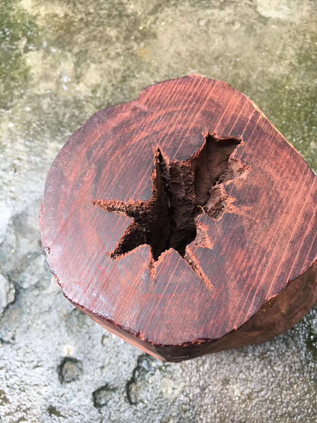 带你认识沉香,带你认识缅甸花梨