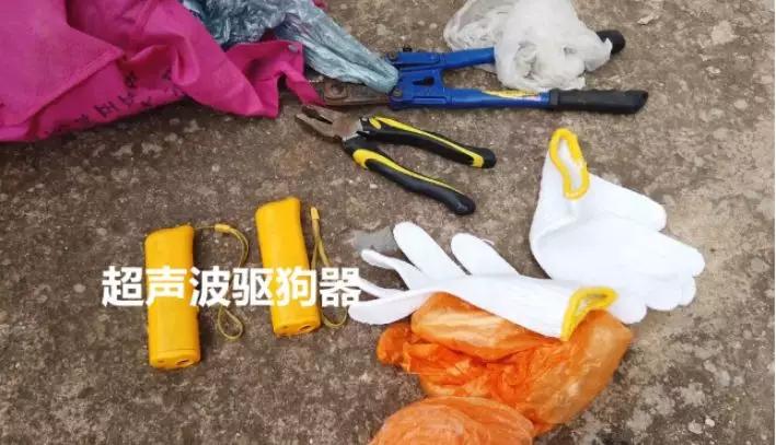 盗窃宠物狗怎么处理,蜀黍提醒