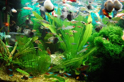 有哪些正规暴利的行业,暴利又合法的生意