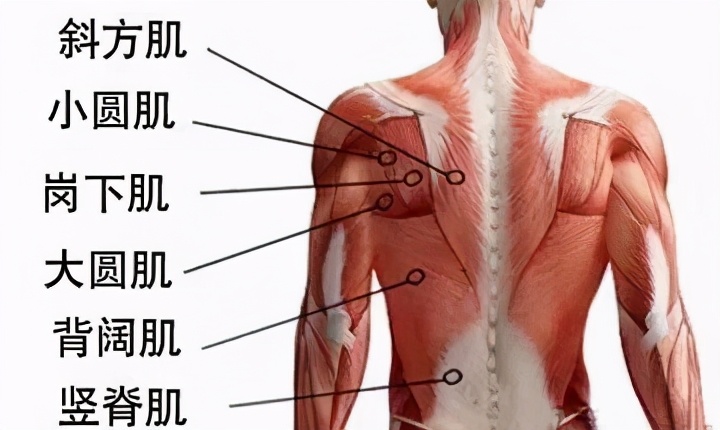 女生背影杀怎么照,6个动作练出完美背影杀