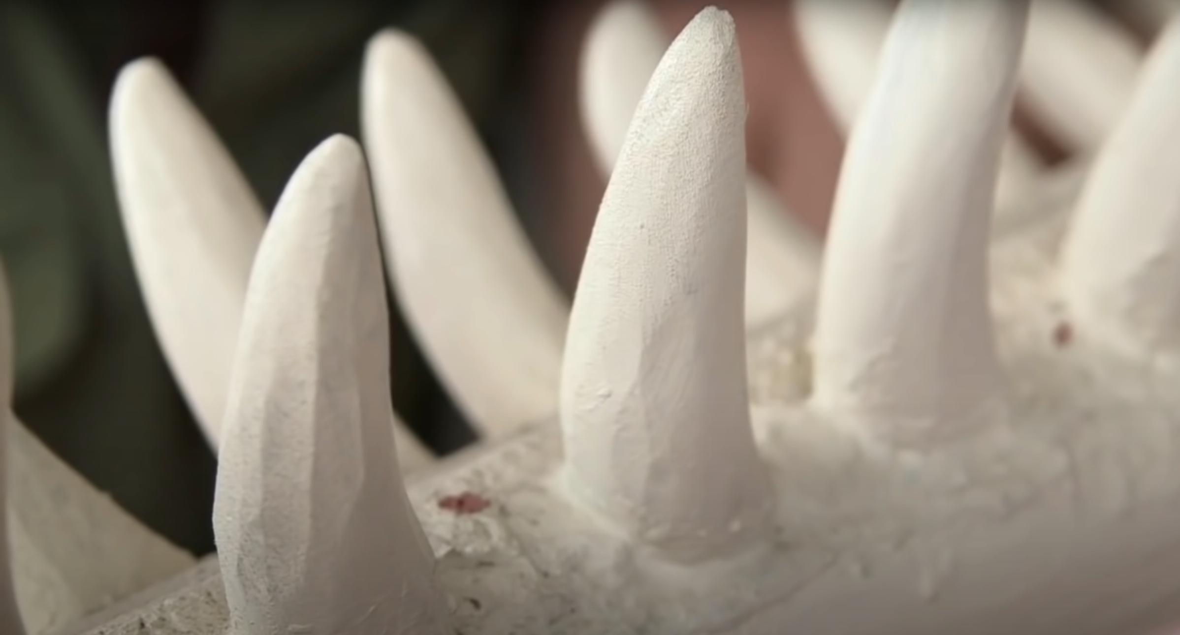 奇迹!男子被鲸吃掉,最终逃出生天,他是怎么做到的?