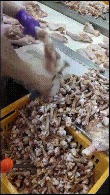 把车标全部抠掉违法吗,把车标抠下来清灰