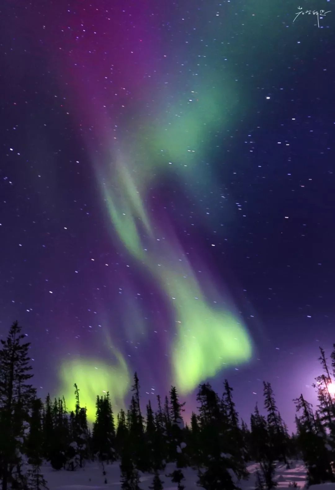 光遇欧若拉季新渴望的东西是什么,欧若拉最渴望的时候