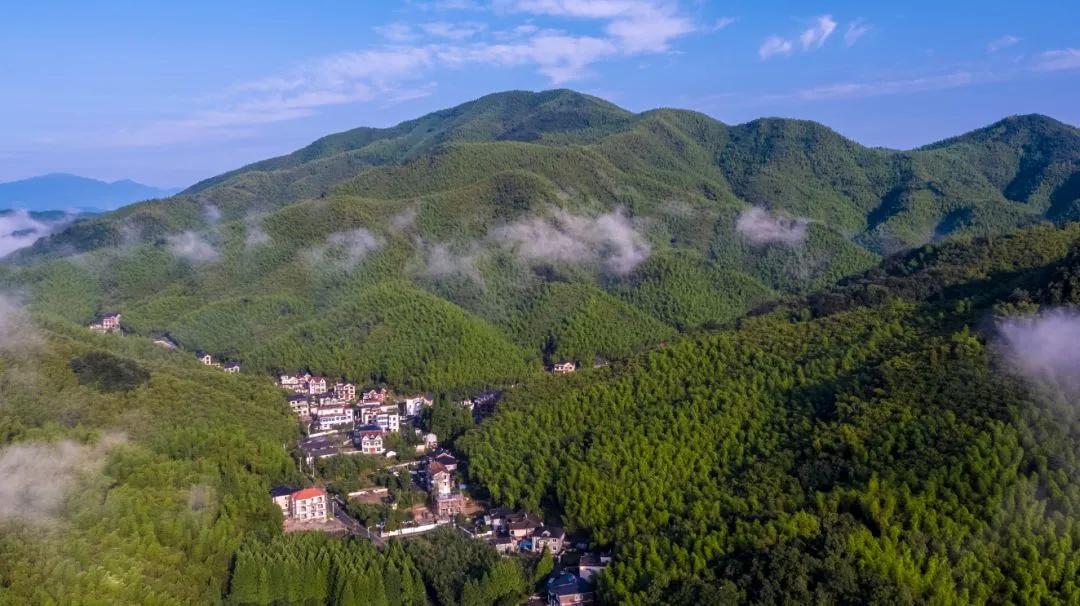 欢呼!余杭9条精品旅游线出炉!瓶窑、塘栖、中泰...太惊艳了!