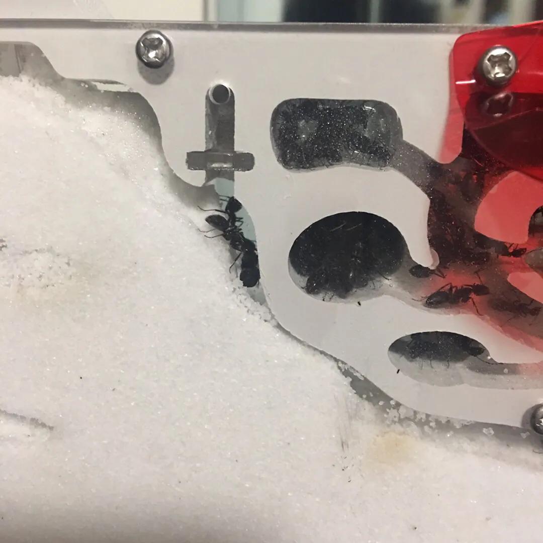 我的足球小将完整版视频,我的足球少年