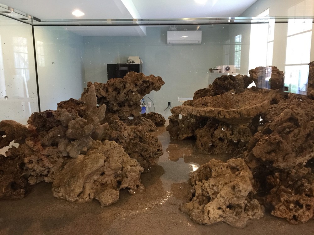 经典海水礁岩生态缸分享，180×120×60厘米三面观赏海缸