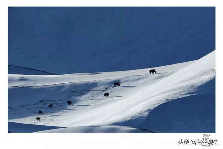 青海天峻县有2个黑海：1个是美丽的哈拉湖；1个是广阔的木里煤田
