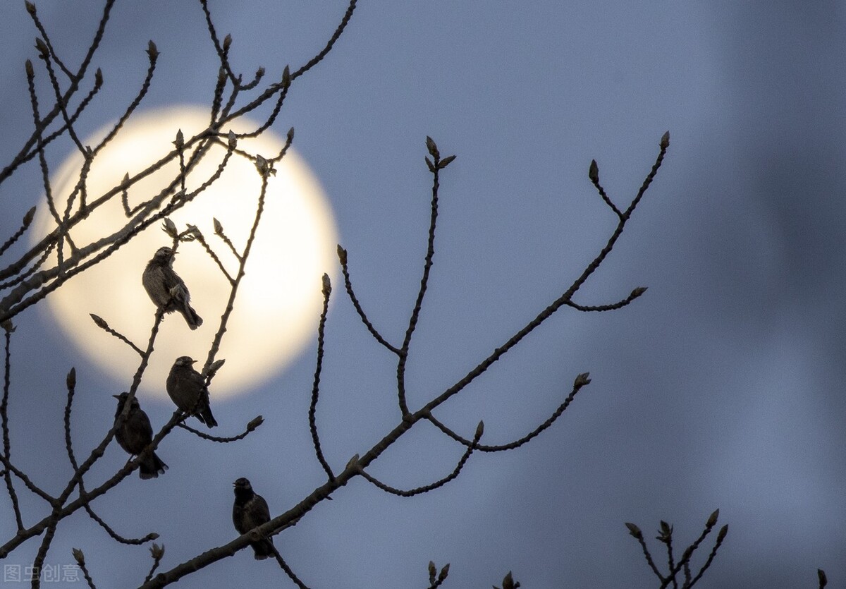 叶辰｜跟着《春》学写作：如何运用回忆和想象写好抒情散文（下）