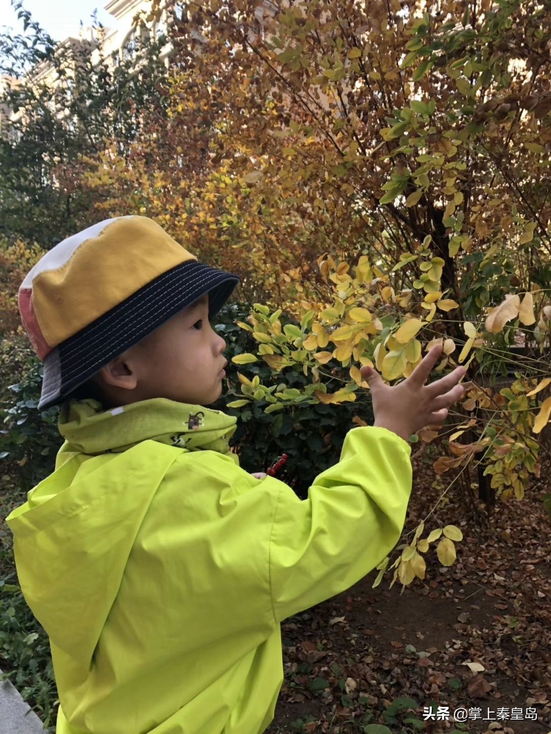 北漂夫妇辞职,北漂夫妻开民宿