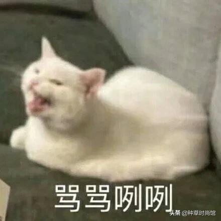 你的防晒上白名单吗,防晒霜成分黑名单