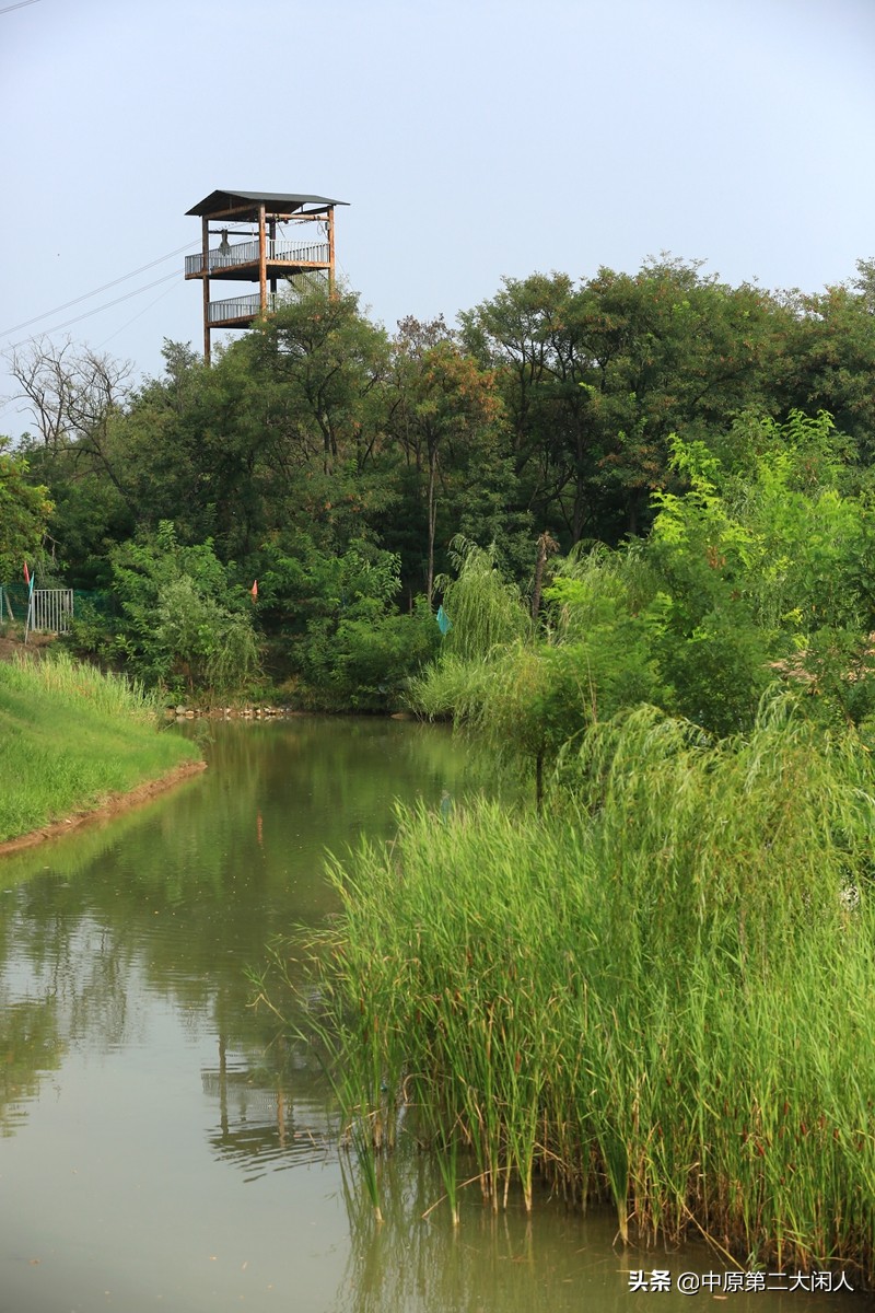 郑州中牟县雁鸣蟹岛,河南郑州市中牟雁鸣蟹岛景区