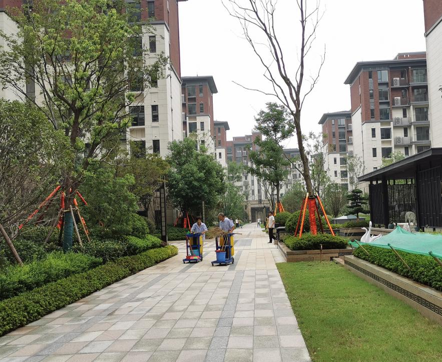 中国十大物业品牌排名,十大最强物业排名