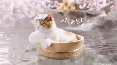 泡温泉的最佳季节和时间,泡温泉的季节