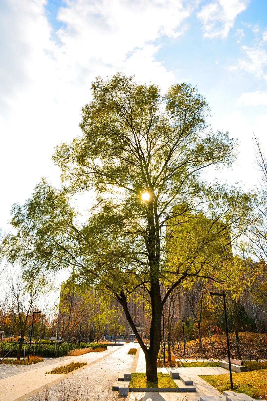 春意盎然北京五大公园,北京区级综合性公园