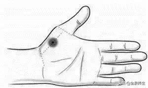 手上这块肉能看出你的身体好坏,手掌根部有肉的人是不是头脑笨