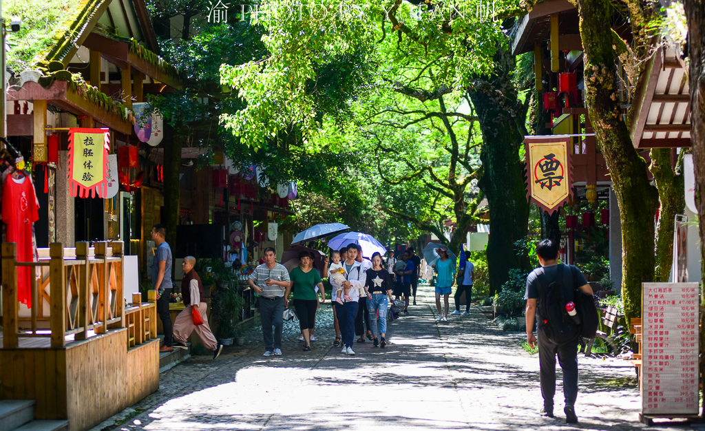 武夷山宋街介绍,武夷山宋街历史