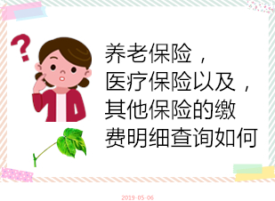 如何查询社保账户医保账户,社保查询个人医保账户明细怎么查