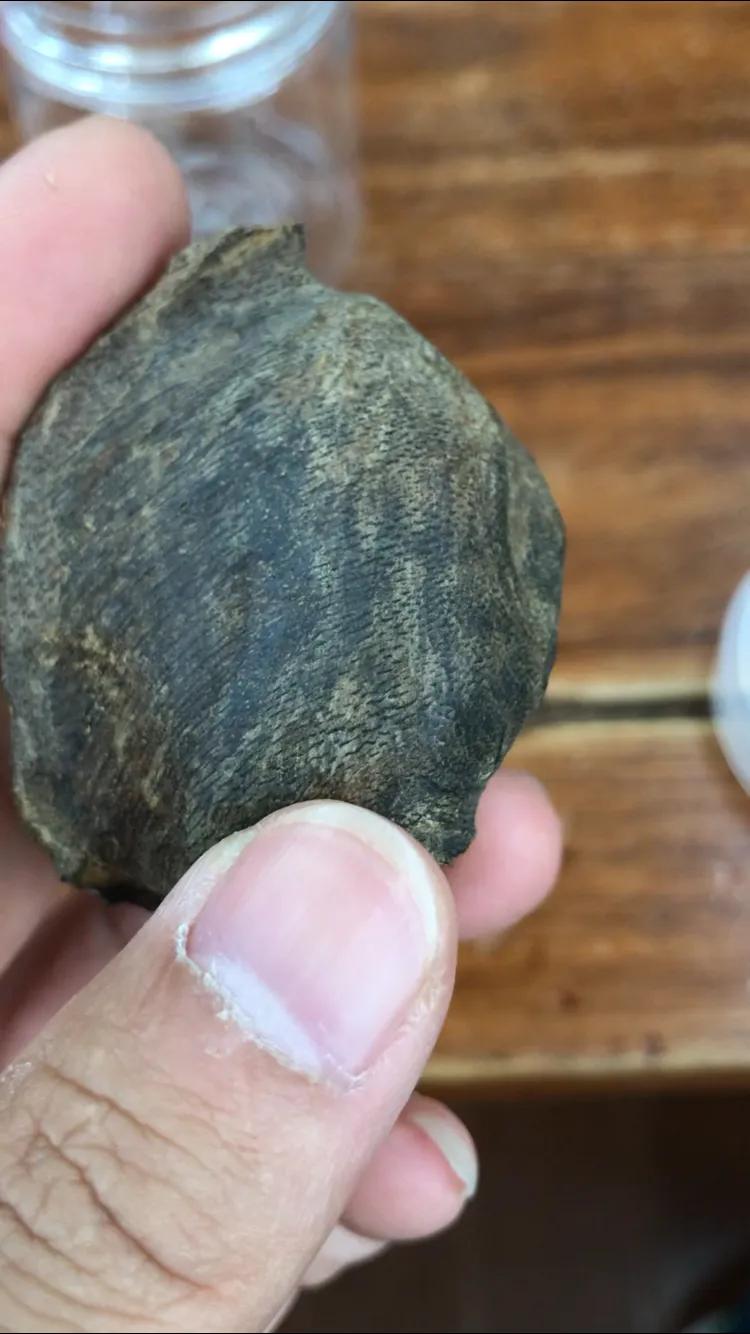 一颗珠子教你认识沉香,一颗珠子演绎音乐