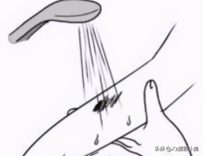 大连蛇岛旅游体验,大连蛇岛景区