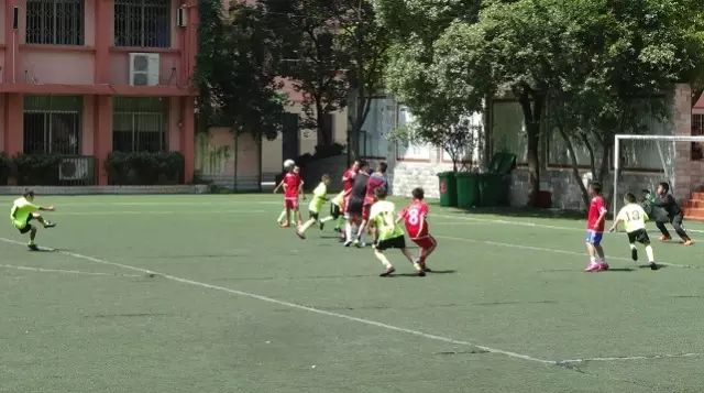 璐靛窞闈掕鍑鸿繃鍥藉瓧鍙风悆鍛樻湁鍑犱釜,璐靛窞鍩瑰吇濂藉瀛︾敓