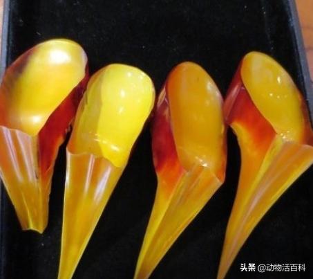 鹤顶红百科简介,鹤顶红的未解之谜