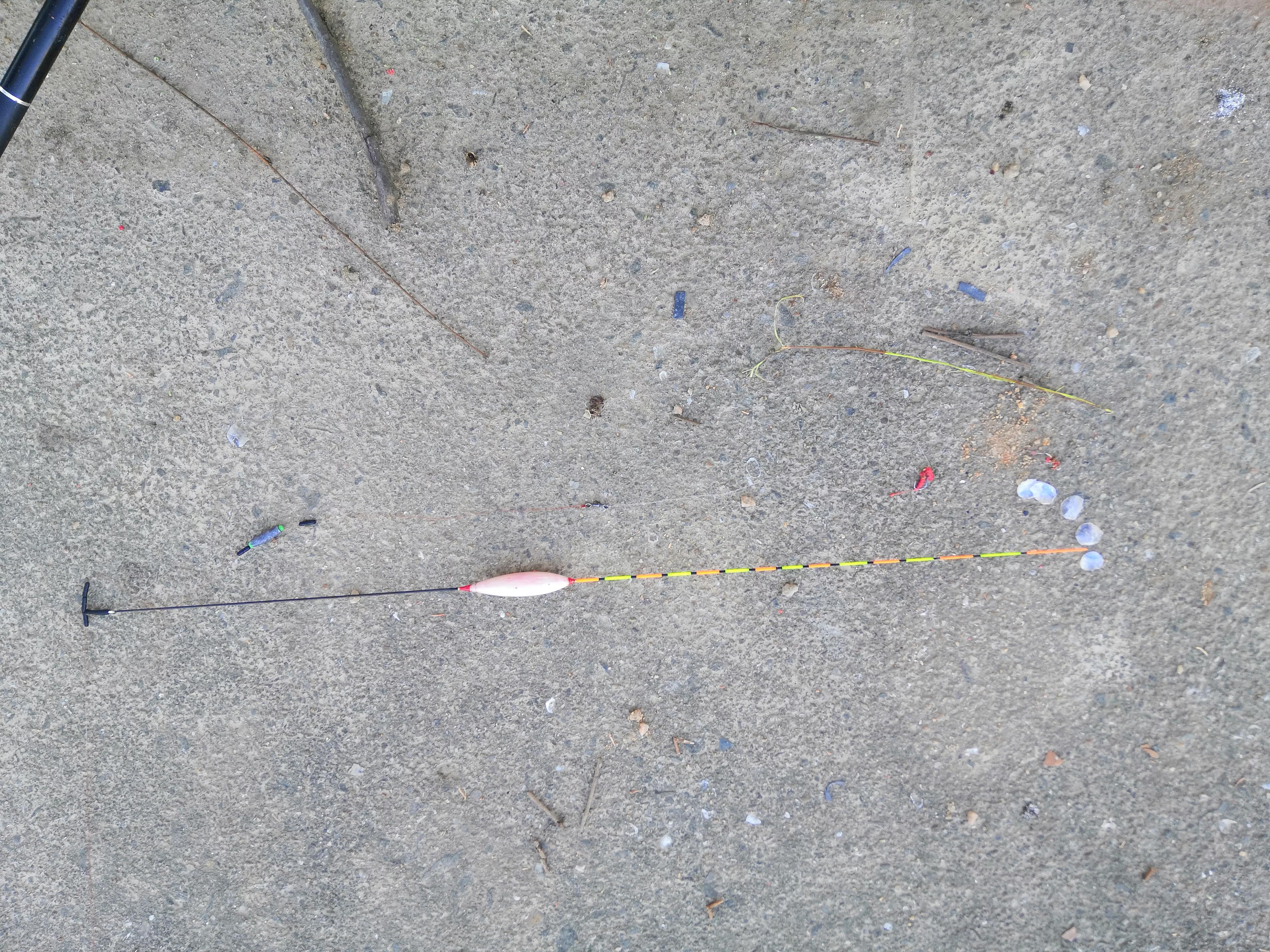 鲫鱼的“宿命”，上万条的繁殖能力，却因自身5大优势，数量骤降