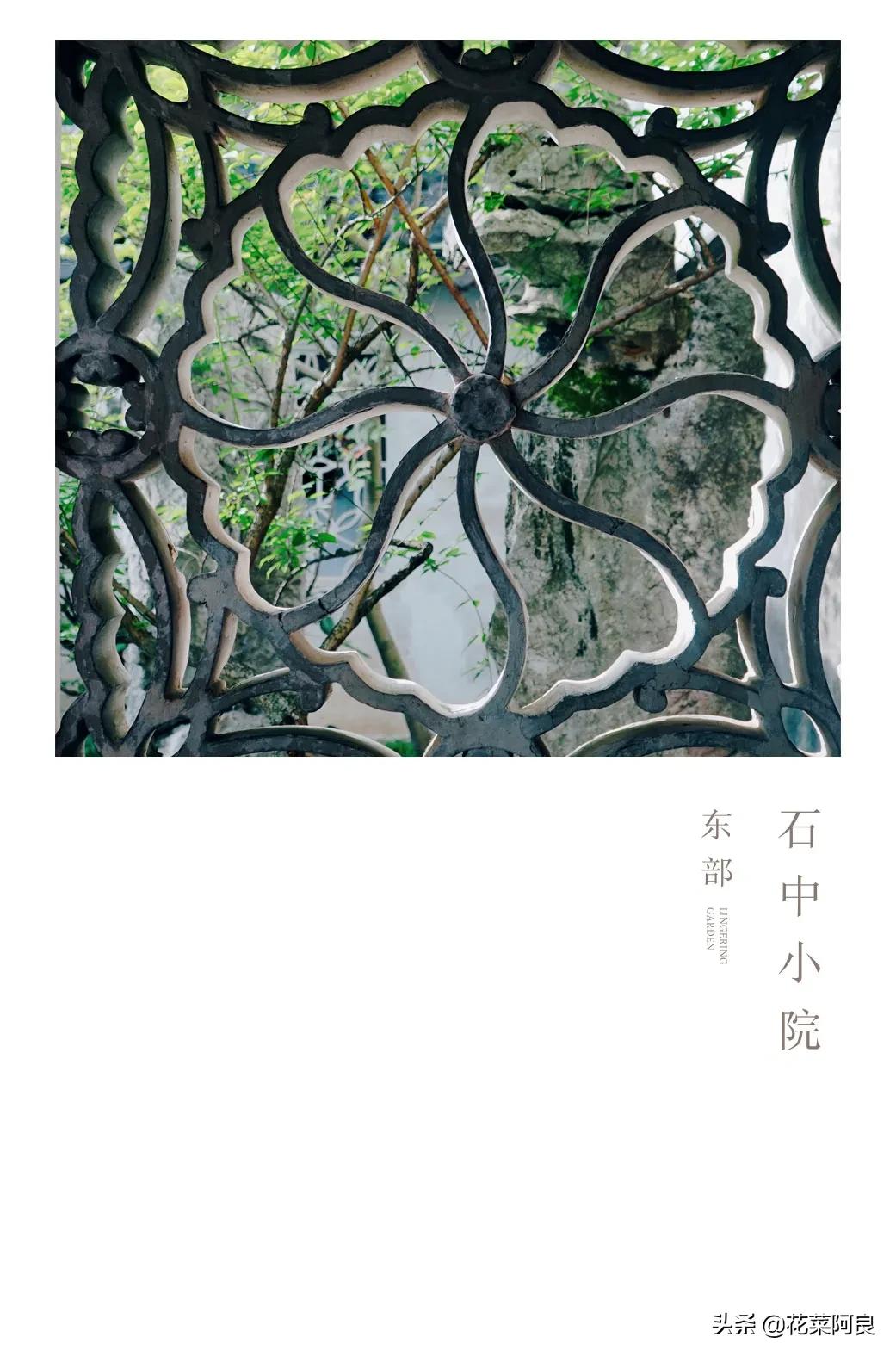 留园拙政园哪个景色好,留园和拙政园