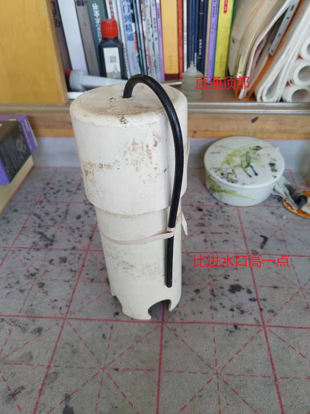 龟菜共生种植技术视频,龟菜共生系统详解