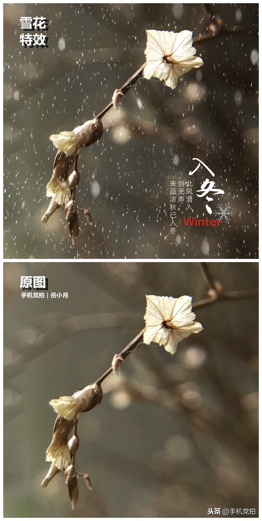 下雪天手机怎么拍慢动作雪景,手机下雪拍雪景专业模式