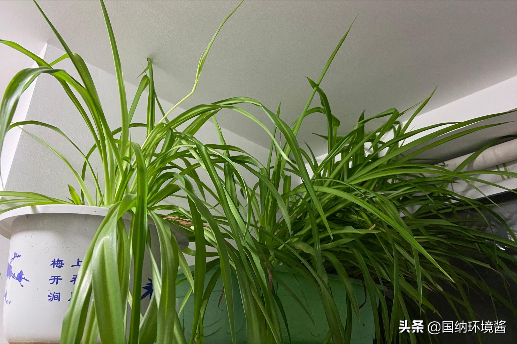 室内空气净化最佳长效除甲醛方案,室内空气净化甲醛治理方案