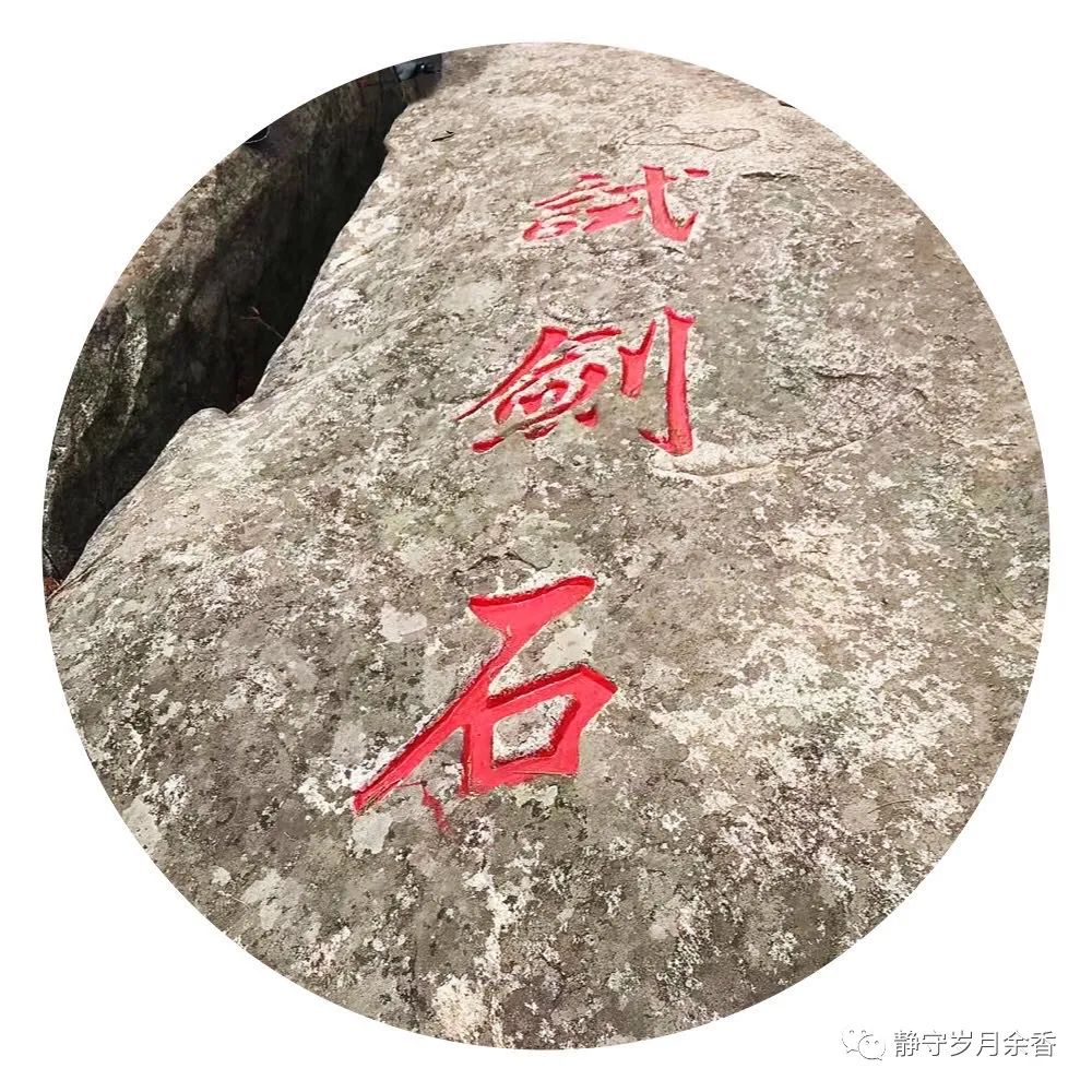 情满龟峰·诗涌花海