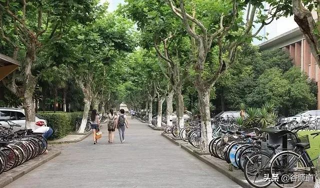 致敬美好的青春和爱情,纪念美好时光