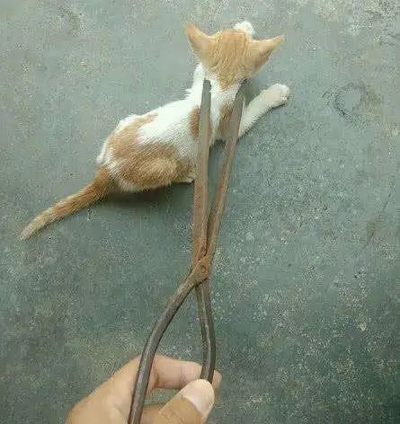 走进产房的那一刻,产钳助产全过程