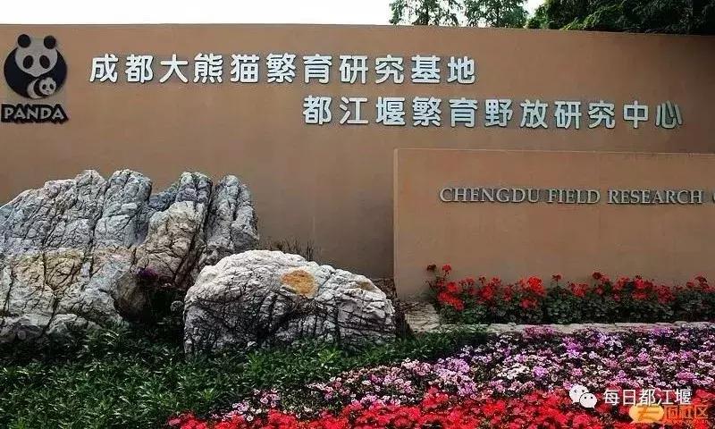 六一儿童节火车,六一快乐专列