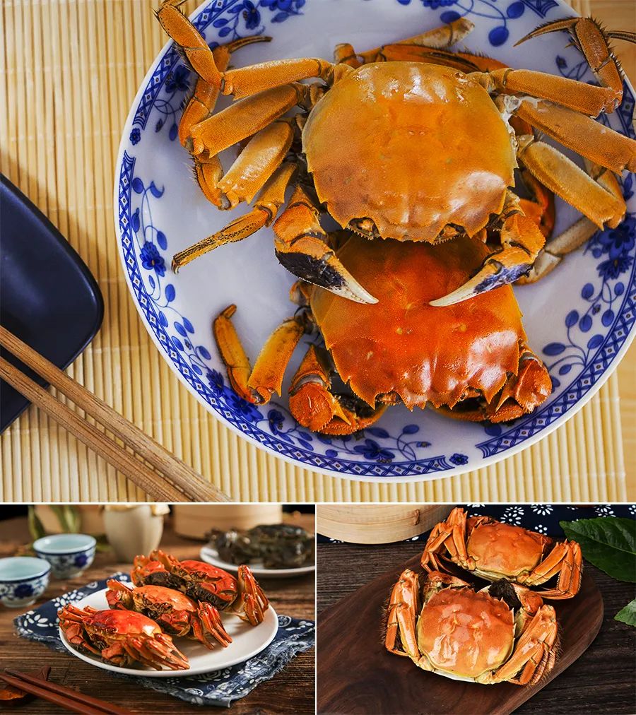 儿童画秋风落叶,儿童画教学简单6-9岁中秋