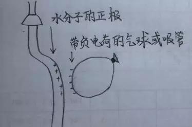 延期开学如何保持学习,延期开学在家怎么学习