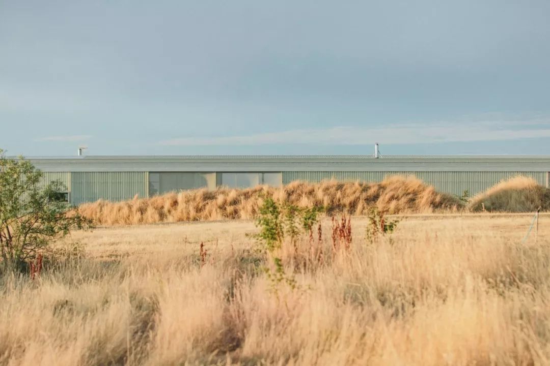 森林屋设计,森林屋建造