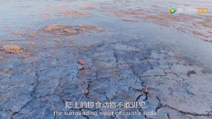 被吹爆的神片,被吹上天的神作