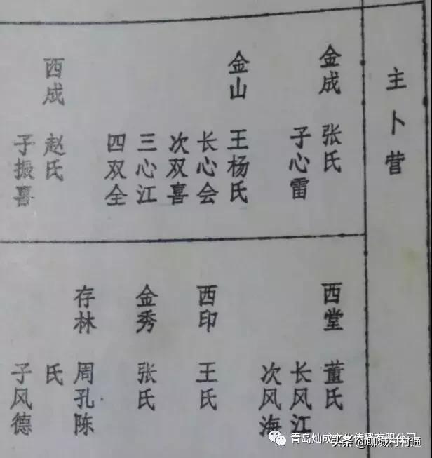 每日一村,莘县张寨镇主簿营