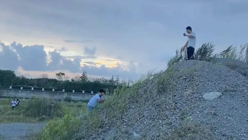 上海看美丽的大海,上海哪里有海滩看大海免费