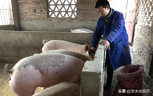 禁养令让农村养殖受限,国家禁止在禁养区养殖政策