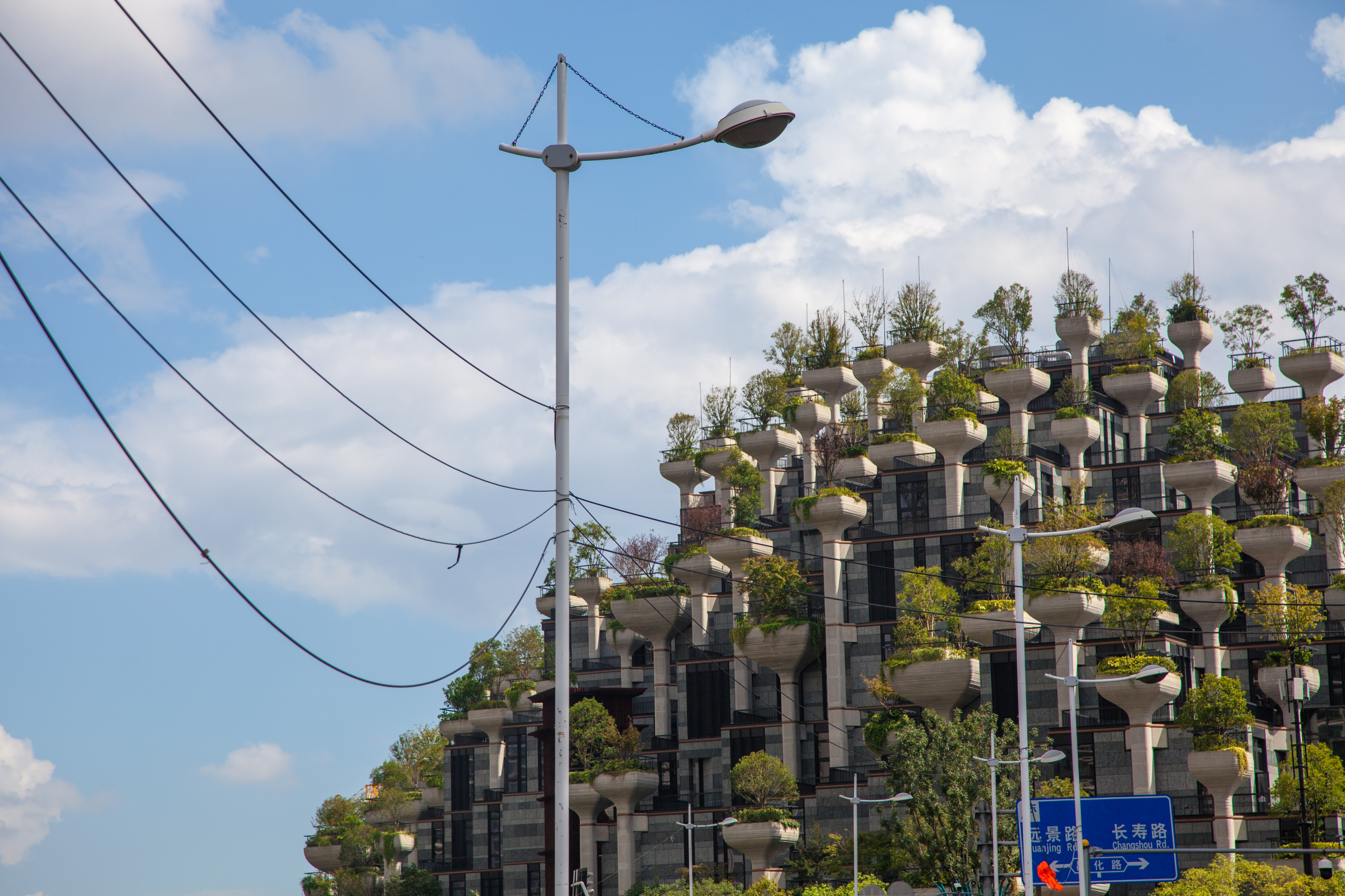 上海网红建筑天安千树,天安千树网红地址