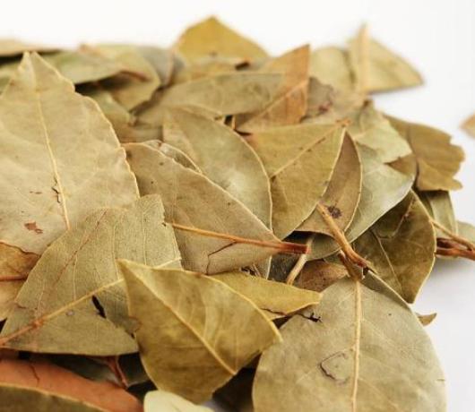 狗狗身上有跳蚤教你一招轻松去除,狗身上有跳蚤偏方