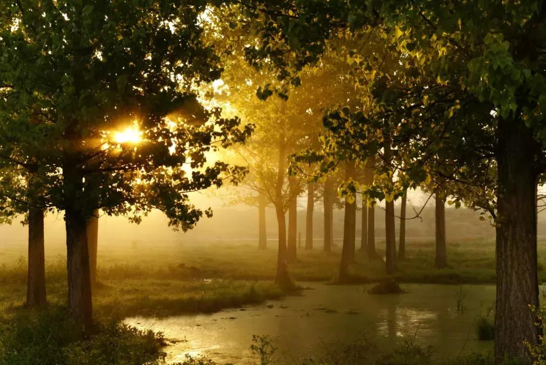 林清玄散文精选800字,林清玄精选散文好段200字